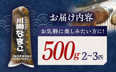 【先行予約】【数量限定】川棚 なまこ 約500g ※2024年12月中旬以降発送【森水産】[OAI002] / 大村湾なまこ 高級なまこ 新鮮なまこ ナマコ おつまみ 海鮮 魚介 新鮮魚介類 正月 産