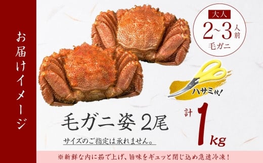 様々なお料理でもお楽しみ頂けます。