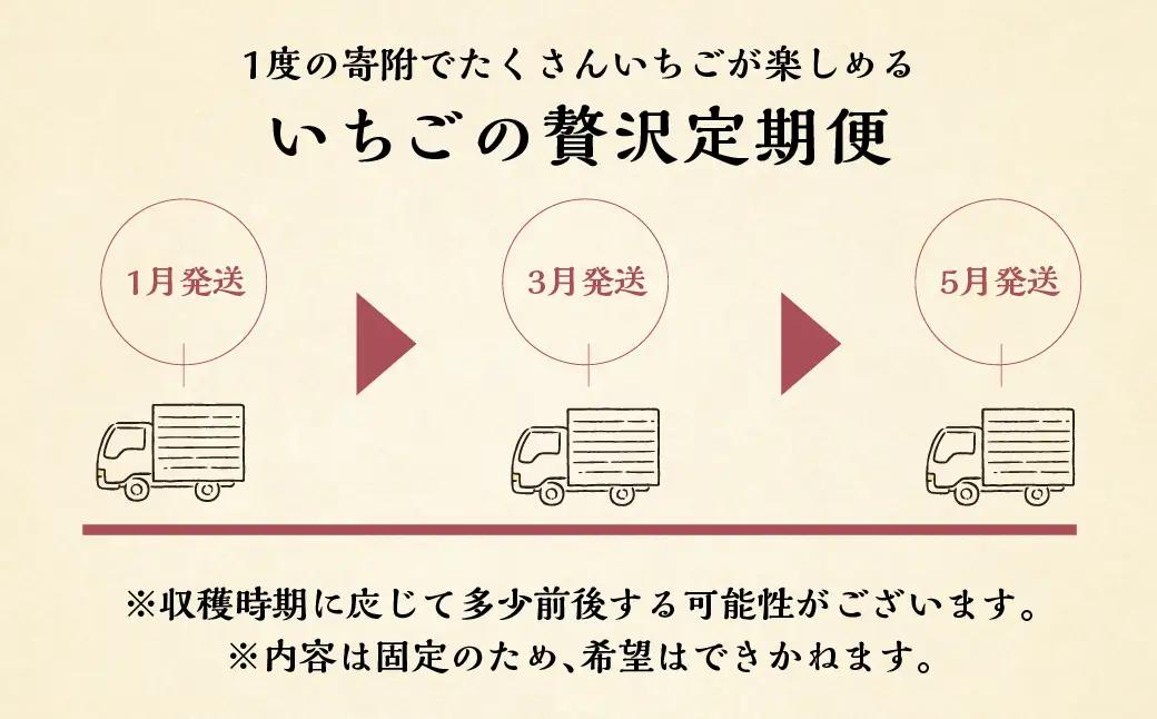 【定期便3回】【2027年1月より発送開始】いちご贅沢 紅ほっぺ 1kg ( 250g × 4p ) しあわせ苺 サイズ バラバラ 訳あり 訳アリ 含む 農園直送 フルーツ 苺 イチゴ 人気 本巣市 