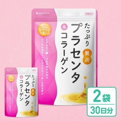 ふるさと納税 名古屋市 プラセンタサプリメント たっぷり贅沢プラセンタ&amp;コラーゲン 2袋