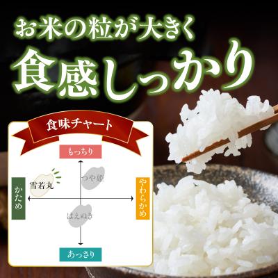 ふるさと納税 大江町  《6ヶ月定期便》特別栽培米 雪若丸 5kg×6ヶ月(計30kg)【山形県産】 001-T11 |  | 01