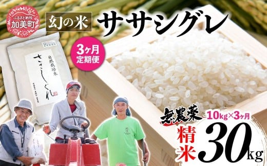 《 希少品種米 》 新米 米 令和7年 宮城県産 ササシグレ ( 栽培期間中農薬・肥料不使用 ) 【 3回 定期便 】 精米 白米 10kg × 3ヶ月 （ 合計 30kg ）｜ 宮城県 加美町 無農薬 お米 こめ コメ ささしぐれ ササニシキ の 父 ｜ nt-ss10-t3-r7