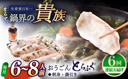 【全6回定期便】活〆おうごんとらふぐ 満腹 鍋セット 平戸市 / 松永水産 [KAB283]おうごんとらふぐ 鍋 通販 お取り寄せ 長崎 ふぐちり てっちり 高級魚 海鮮 グルメ ギフト