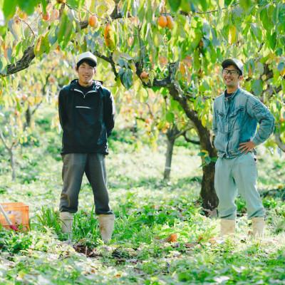 ふるさと納税 松江市 とろ〜り甘い柿の里の西条柿 6玉 |  | 01