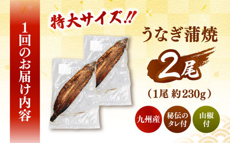 【寄附額見直し】全6回定期便 特大！ 鹿児島産 うなぎ 蒲焼 2尾セット 桂川町/山水商事 [ADAH013] ウナギの蒲焼 鰻の蒲焼 うなぎの蒲焼 蒲焼セット 特大鰻 定期便