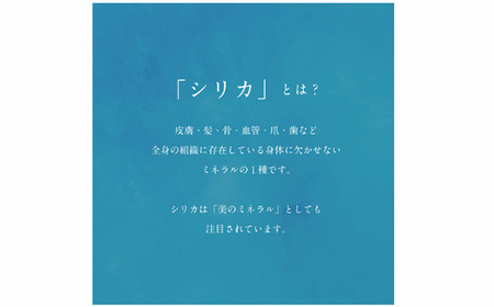 ＜Gaivota　瓶1箱(720ml×12本)＞北のハイグレード食品 天然シリカ水  ミネラルウォーター  軟水 ボトルタイプ 瓶 北海道産 北海道 乙部町 天然水 美容 ケイ素 無添加 シリカ ガイ