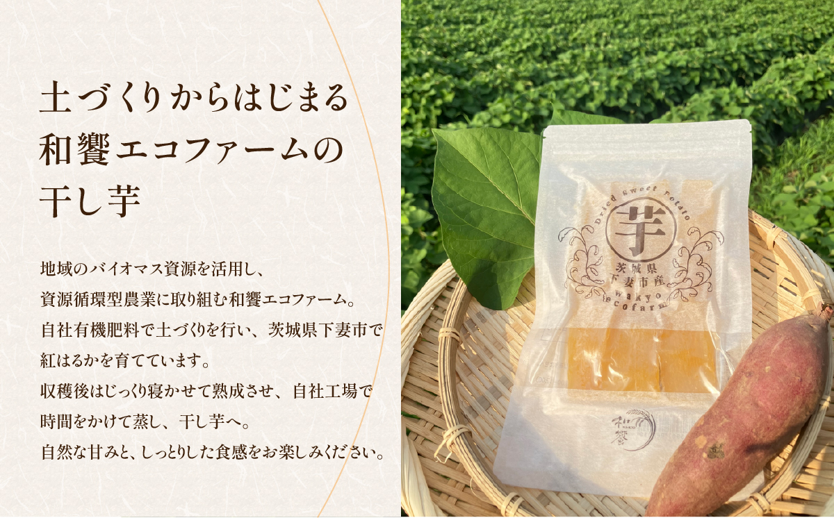 【甘さ控えめ。ヘルシー】訳あり大容量 干し芋（シロタ）1kg 贈答箱あり【 さつまいも さつま芋 サツマイモ 紅はるか 干し芋 スイーツ 甘味 】 訳あり大容量 干し芋（シロタ）1kg 贈答箱あり