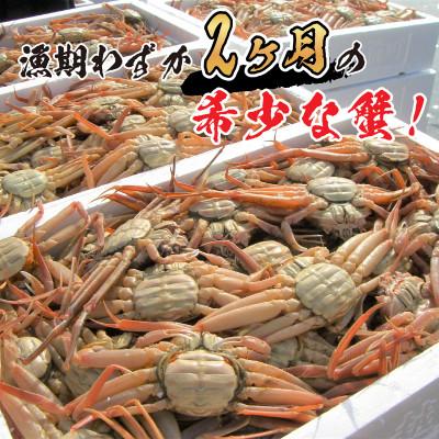 ふるさと納税 福井市 せいこがに甲羅盛り5個入り |  | 01