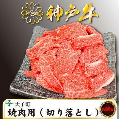 【ふるさと納税】訳あり神戸牛　TSY1　焼肉用(切り落とし)　500g【配送不可地域：離島】【1509911】