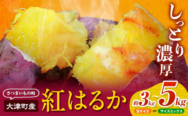 【先行予約】タカハマ観光農園 の 紅はるか 選べる 約3kg or 約5kg Sサイズ《1月上旬-5月末頃出荷》熊本県 大津町 さつまいも さつま芋 芋 スイートポテト 干し芋 焼き芋---oz_thm_21_3kg---