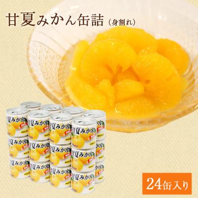 ふるさと納税 八女市 甘夏 みかん 缶詰 24缶 セット (身割れ) 国産 はちみつ入り