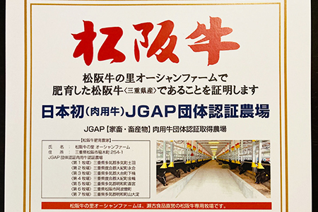 特選A5松阪牛 職人カットの上ウチハラミ焼肉セット 自家製タレ付き（200g）【アッシェドール タケウチ】おうちでふるなび美食体験 FN-Limited710449