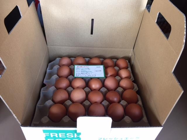 【ふるさと納税】≪飯能産≫放し飼いたまご 50個　　お届け：発注後、2〜3週間程度 （配送期間は10月から6月末まで※12月は配送不可のため、翌年1月中旬以降から順次配送となります。ご了承ください。） HNNBP002