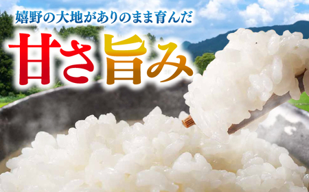 ARINOMAMA RICE 佐賀県嬉野市産 夢しずく 5kg(2.5kg×2)【ありのまま春日】[NCK003]