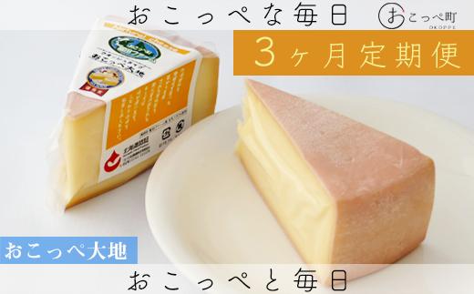
                  牧場から直送『おこっぺ大地(ウォッシュタイプ)2個セット』３か月定期便【22022】
                