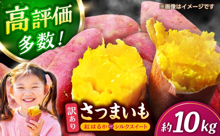 【年内発送は12月21日ご入金分まで！】 さつまいも 紅はるか or シルクスイート 蜜芋 10kg【合同会社 福福堂】 [ZCN001]