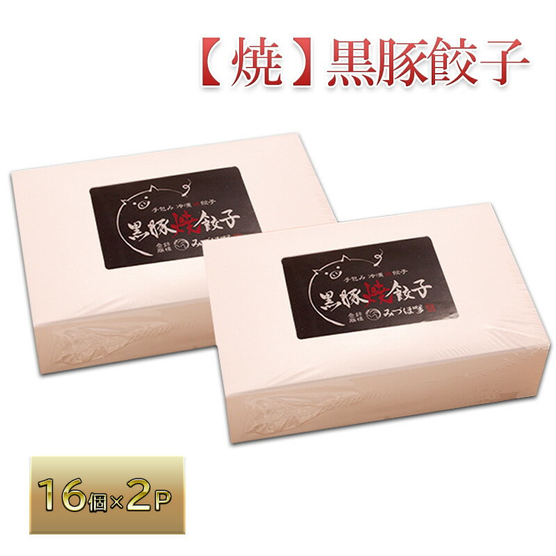 【ふるさと納税】鹿児島県産黒豚「黒の匠」100％使用 手作り黒豚入り焼餃子（16個×2P） 加工品 惣菜 冷凍