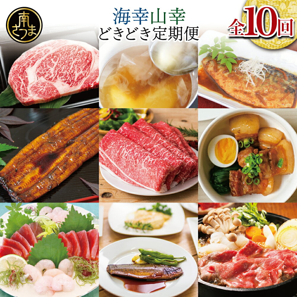 【ふるさと納税】海幸 山幸 どきどき 定期便（全10回）南さつま市の「海の幸」「山の幸」をどっちも堪能できるお楽しみ定期便 お肉 お魚 黒豚 牛肉 すき焼き ステーキ 角煮 鰻 蒲焼 刺身用たかえび マグロ 出汁 鰹節 鹿児島黒牛 生姜焼き おかず 煮魚 定期配送 送料無料
