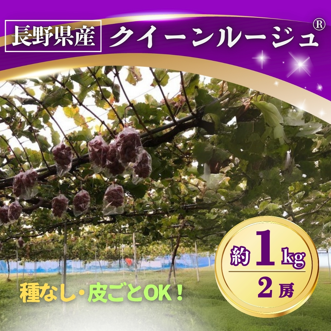 ぶどう クイーンルージュ®︎約1kg(2房) 長野県オリジナル品種｜ 果物 フルーツ 赤ぶどう 葡萄 ブドウ 種無し 種なし 皮ごと 千曲市 長野県 信州