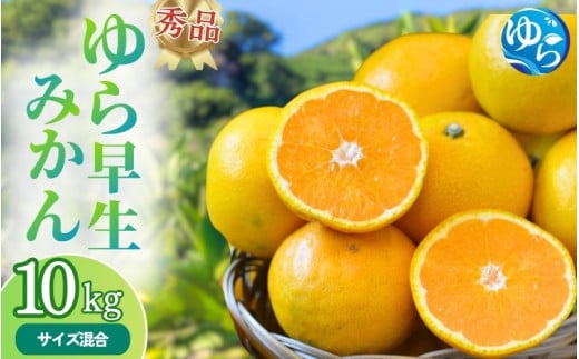 【先行予約】秀品 ゆら早生みかん 10kg 【2025年10月初旬～順次発送予定】/ みかん ミカン 和歌山県 柑橘 早生 甘い 蜜柑 フルーツ 果物 くだもの 食品  産地直送 由良町 ゆら早生 早生みかん 【myvi004】