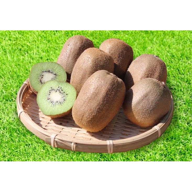 【まごころ手選別】和歌山産　キウイフルーツ　約1.2kg(サイズ混合)　秀品 ※2026年1月下旬～3月中旬頃に順次発送予定_イメージ3