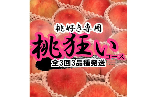 ＜25年発送先行予約＞ 山梨県笛吹市産　桃狂い定期便　約1ｋｇ　全3回 105-010