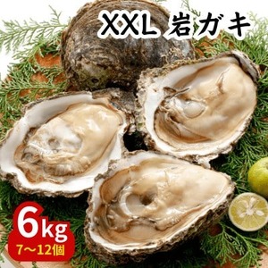 先行予約 XXLサイズ!天然岩牡蠣6kg(7～12個・特上殻付き生食用)CAS冷凍カキ