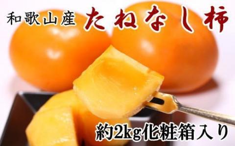 【秋の味覚】和歌山産のたねなし柿2L～4Lサイズ約2kg（化粧箱入り）※2024年10月上旬から11月上旬順次発送【tec408】