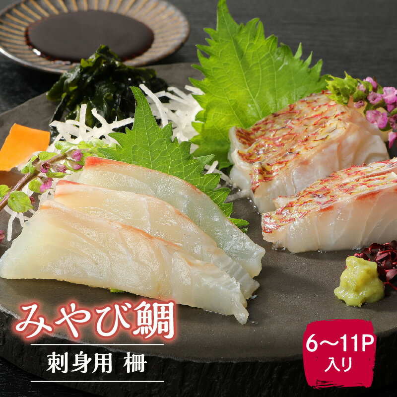 【ふるさと納税】高評価 選べる 発送月 みやび鯛 刺身用 柵 900g 鯛 刺身 急速冷凍 甘み 旨み 海鮮丼 漬け丼 お寿司 カルパッチョ サラダ 鯛しゃぶ しゃぶしゃぶ 小分け 真空パック アミノ酸 冷凍 グルメ 魚 魚介 海鮮 新鮮 お取り寄せグルメ 九州 熊本県 天草市 送料無料
