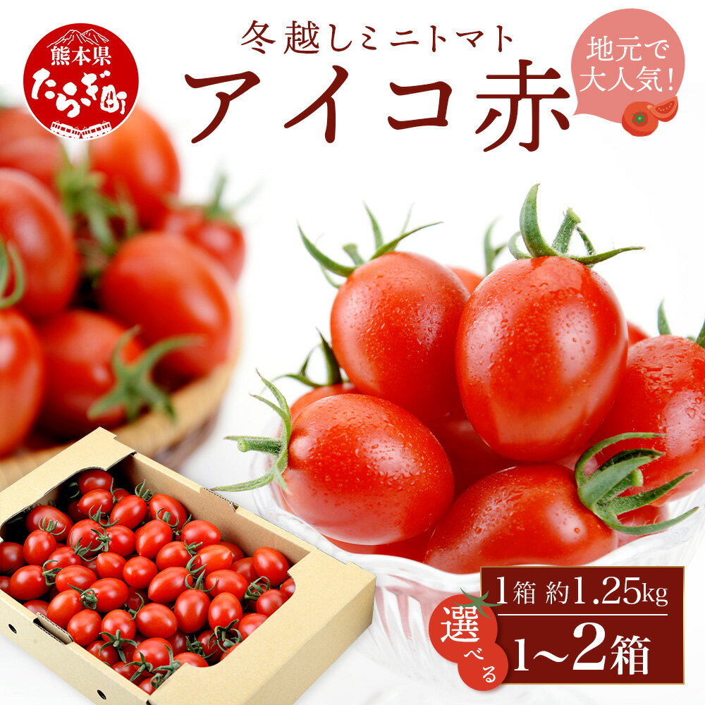 【ふるさと納税】本当に美味しい！産地直送 熊本県産 ミニトマト「アイコ (赤色)」約1.25～2.5kg 国産トマト アイコ とまと 甘い 熊本 多良木町 農園直送 新鮮 容量選べる フルーツトマト フルーティ 果実味 送料無料