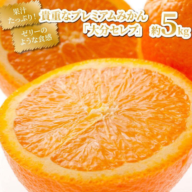 【ふるさと納税】【先行予約】令和7年12月発送開始/貴重なプレミアムみかん「大分セレブ」約5kg