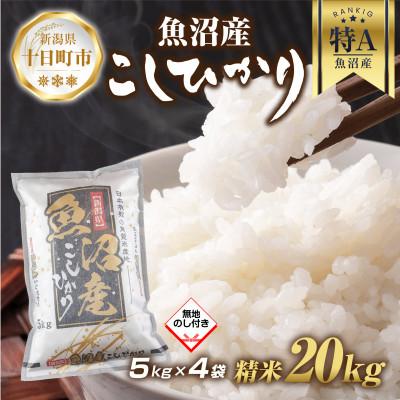 ふるさと納税 十日町市 【無地熨斗】魚沼産 コシヒカリ 5kg×4袋 計20kg(お米の美味しい炊き方ガイド付き)