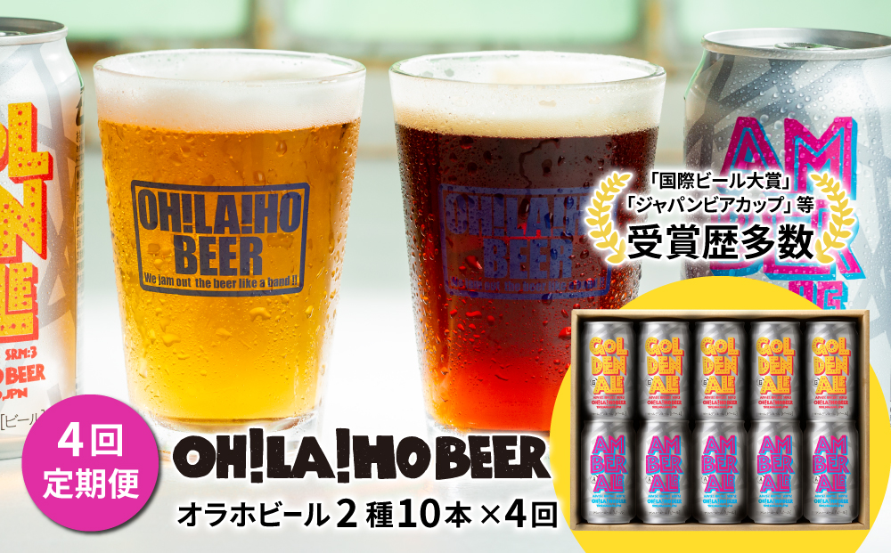 クラフトビール 定期便 (4回) 飲み比べ 10本セット (ゴールデンエール・アンバーエール) オラホビール 詰め合わせ お酒 地ビール ギフト プレゼント お歳暮 お中元 父の日 長野県東御市