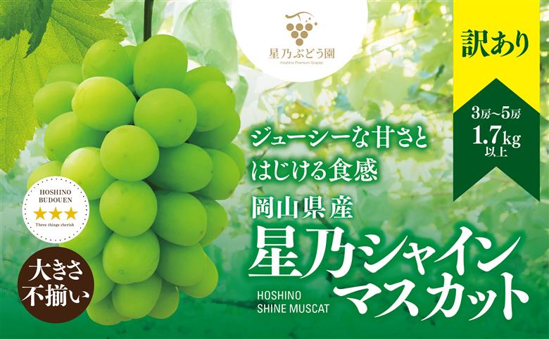 【訳あり】粒の大きさが不揃い 星乃シャインマスカット 1.7kg 3房～5房入り【配送不可地域：離島・北海道・沖縄県】