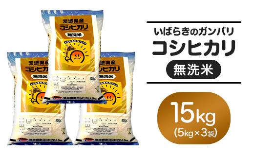 153 無洗米 コシヒカリ 15kg 5kg × 3袋 令和6年 茨城県産