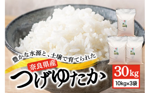 令和5年産 10kg×3袋 30㎏ つげゆたか（コシヒカリ）白米 K-06