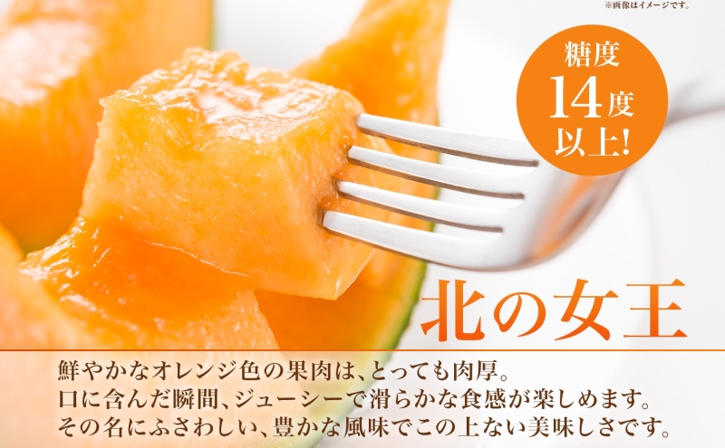 【2026年夏発送】北海道 赤肉メロン 北の女王 秀品 約1.6kg×2