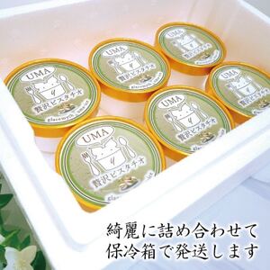 アイス職人の作るこだわりアイスクリーム6個セット　ピスタチオアイス　各90ml入り【配送不可地域：離島】【1148911】