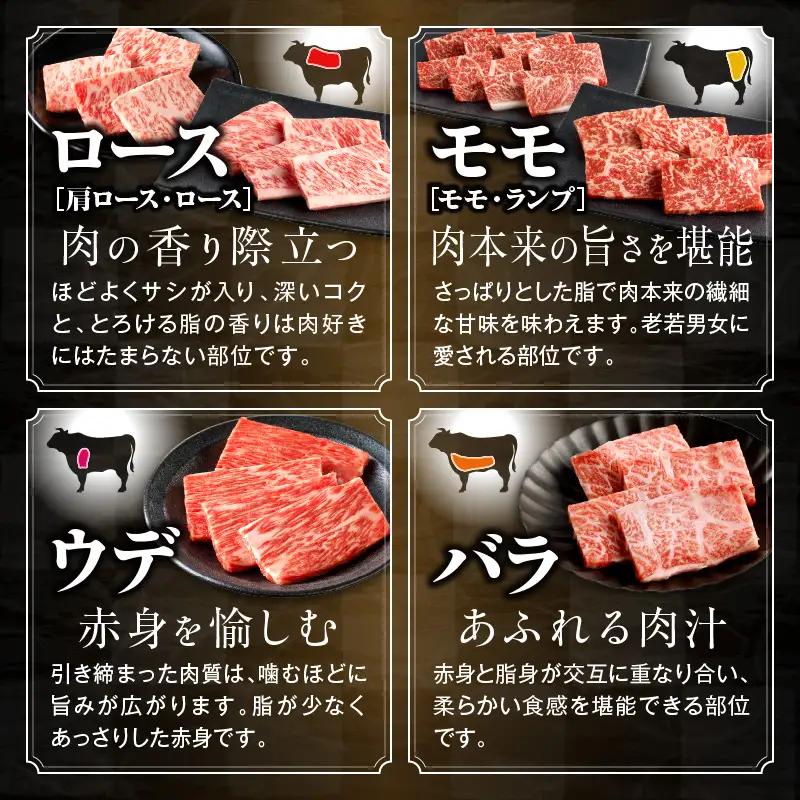 牛肉 宮崎牛 牛肉[焼肉 10種 盛り合わせ]