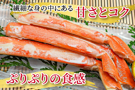 【先行予約/11月7日より順次発送】朝ゆで 越前がに1杯　【800g】 / ずわいがに 蟹 ズワイガニ 小浜市 / 小浜海産物 【配送不可地域：北海道・沖縄・離島】 [BFAA002] 