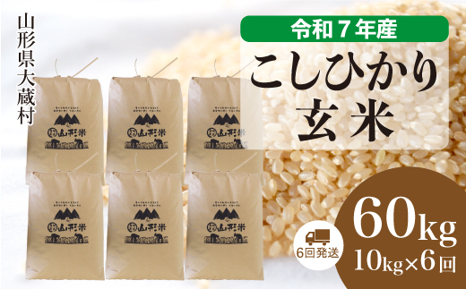 ＜令和7年産米＞ こしひかり 【玄米】60kg定期便(10kg×6回)　配送時期指定できます！