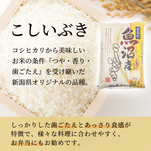 令和7年産 お米マイスター厳選 魚沼産 こしいぶき 100％ 10kg ( 5kg × 2袋 )（ 米 魚沼 新潟 お米 こめ コメ おこめ 白米 良食味品種 安心安全 10キロ ） 新潟県 