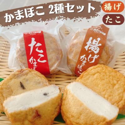 ふるさと納税 諫早市 かまぼこ(たこ・揚げ)2種セット 計10個(各5個)