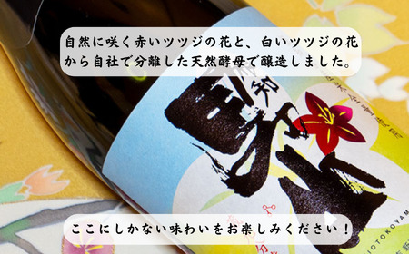 日本酒 飲み比べ 蔵元分離酵母仕込 720ml×2本 根知男山 花酵母 720ml×2本 赤・白 2種セット 自社栽培米使用 天然酵母 地酒 新潟 糸魚川 蔵元直送 酒米 こだわりの酒 ドメーヌ・スタ