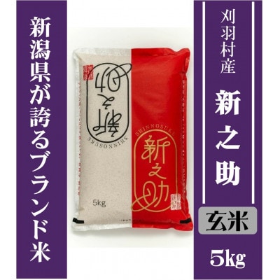 【新潟ブランド米】【玄米】刈羽村産新之助 5kg