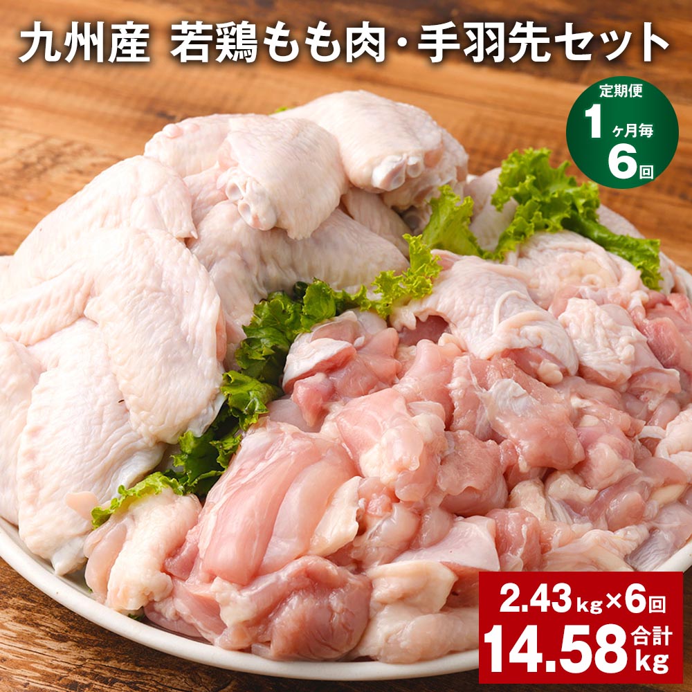 【ふるさと納税】【定期便】【1ヶ月毎6回】九州産 若鶏もも肉・手羽先セット 計14.58kg（2.43kg×6回）鶏肉 肉 鶏 手羽 唐揚げ 詰め合わせ セット 冷凍 九州 国産 熊本県 菊池市 送料無料《お申し込みの翌月から出荷》