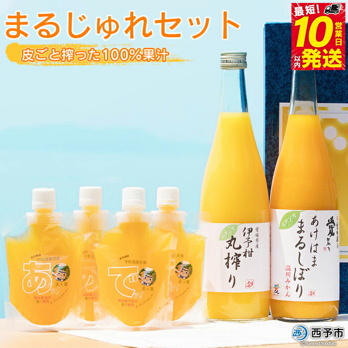 【ふるさと納税】＜まるじゅれセット MJ-1＞ 温州みかん いよかん ミカン 飲むゼリー ジュレ オレンジ ジュース デザート スイーツ あけはまシーサイドサンパーク 贈答用 愛媛県 西予市【常温】『最短10営業日以内に順次発送予定』