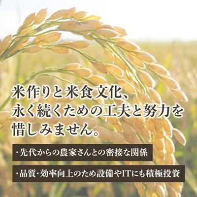 ふるさと納税 城里町 「関東地方配送限定」【令和7年産】城里町内・桂農産の【しきゆたか　精米】20kg(5kg×4袋) |  | 03