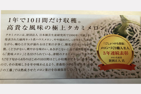 お菓子の工藤 メロンジェラート｜青森 つがる 特産 アイス デザート スイーツ フルーツ 果物 めろん [0437]