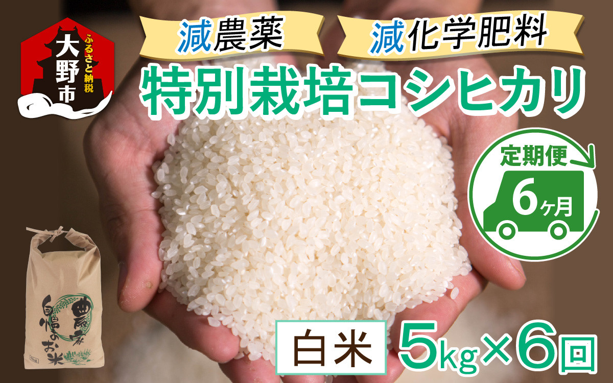 
                  【先行予約】【令和8年産 新米】【6ヶ月定期便】減農薬・減化学肥料の特別栽培コシヒカリ 白米 5kg×6回 計30kg 農家直送 福井県大野市産
                